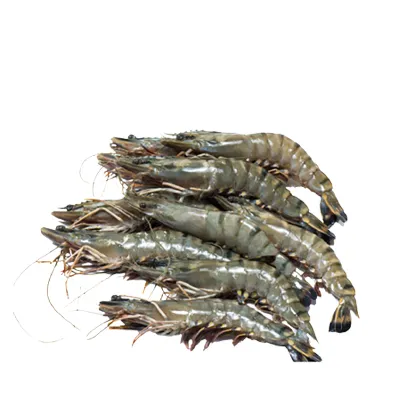 Bagda Chingri (Shrimp) – 35-40 pcs ±30 gm, 500 gm